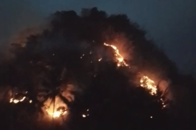 Kebakaran hutan dan lahan (Karhutla) menghanguskan kawasan Gunung Picung, Desa Cikondang, Kecamatan Cibeber, Kabupaten Cianjur, Jawa Barat, Senin (10/8/2026) malam. Foto: Dok. Istimewa