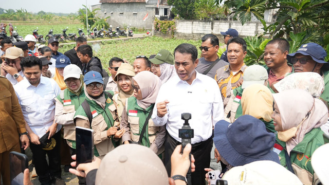 Menteri Pertanian Amran Sulaiman bersama buruh tani dan PPL di Gresik, Jawa Timur pada Selasa (11/8/2026). Foto: Dok. Kementan