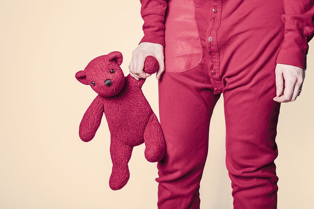 Ilustrasi teddy bear, toy, red. Foto: Pixabay