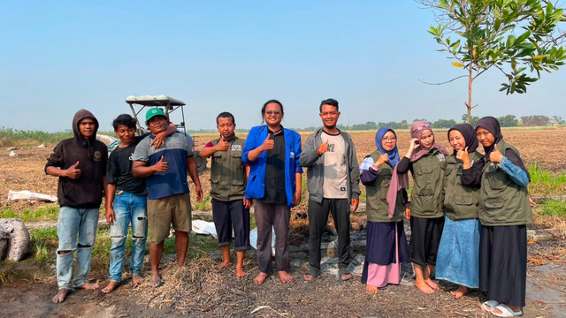 Mahasiswa KKN melakukan penebaran pupuk di lahan BUMDes. Dokumentasi: Tim PDD KKN UPB Desa Karangsari 2026