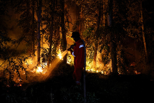 Petugas Brigade Pengendalian Karhutla menyemprotkan air untuk memadamkan api di area terdampak kebakaran hutan di Pulang Pisau, Kalimantan Tengah, Rabu (12/8/2026). Foto: REUTERS/Ajeng Dinar Ulfiana