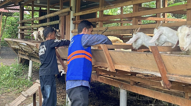 Santri Rumah Peduli Yatim binaan DT Peduli Medan Belajar Mandiri lewat Program Pemberdayaan Peternakan dan Perkebunan (Sumber: DT Peduli)