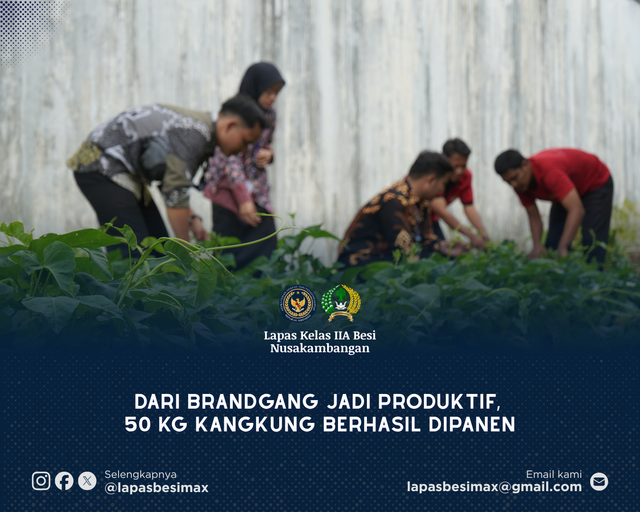 Dari Brandgang Jadi Produktif, 50 Kg Kangkung Berhasil Dipanen
