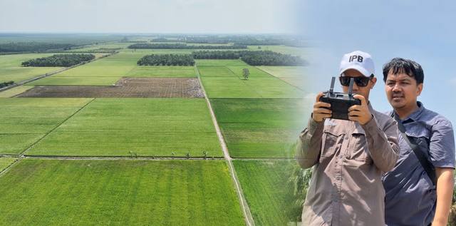 IPB Bantu Petani Mesuji Analisis Kondisi Tanaman dan Produksi dengan Drone