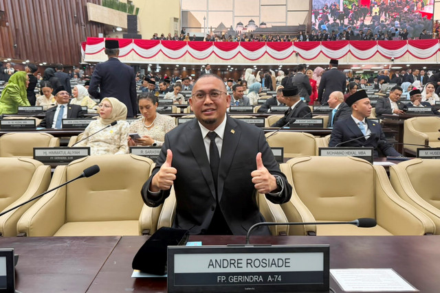 Wakil Ketua Komisi VI DPR RI Andre Rosiade. Foto: Dok. Istimewa