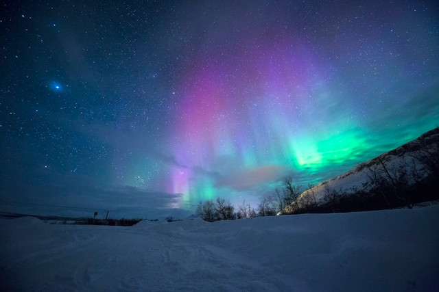 Ilustrasi Bagaimana aurora terbentuk? . Foto: Unsplash/Lightscape