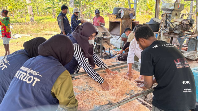 Tim Ekspedisi Patriot saat melakukan proses pemarutan dan pengayakan sagu di Rumah Produksi Sagu Dwitrap, Kampung Tambat, Distrik Tanah Miring, Rabu (12/8/2026).