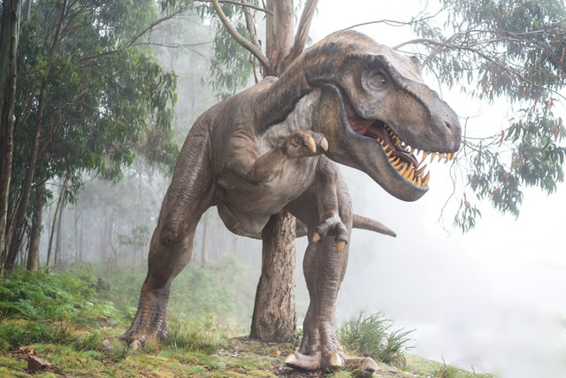Ilustrasi Mengapa Dinosaurus Punah? Unsplash.com/Fausto García-Menéndez