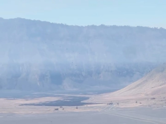 Kondisi kawasan Taman Nasional Bromo Tengger Semeru pasca api padam pada Minggu (16/8/2026). Foto: kumparan