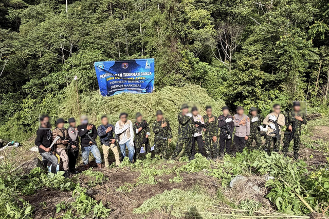 BNN Provinsi Aceh bersama Polres Nagan Raya memusnahkan sekitar 30.000 batang tanaman ganja siap panen di kawasan pegunungan Kabupaten Nagan Raya, Aceh, Minggu (16/8/2026). Foto: Dok. BNN