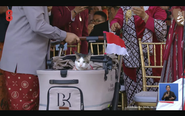 Bobby Kertanegara, kucing Presiden Prabowo Subianto, ikut upacara penurunan benderra di Istana Merdeka, Jakarta, Senin (17/8/2026). Foto: YouTube/ Sekretariat Presiden