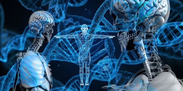 Ilustrasi dna, heritage, helix. Foto: Pixabay