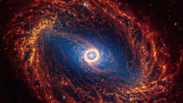 Ilustrasi Bagaimana Galaksi Bisa Terbentuk, Foto: NASA, ESA, CSA, STScI, dan tim PHANGS/Handout via REUTERS/kumparanSAINS