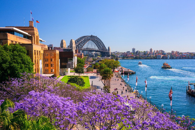 Musim semi berwarna di Sydney. Foto: Destination NSW.
