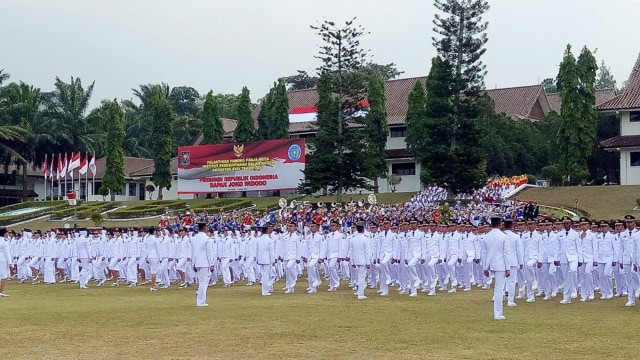 Link pendaftaran IPDN 2026, Foto: Kevin Kurnianto/kumparan