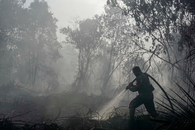 Personel TNI menyemprotkan air saat berupaya memadamkan kebakaran lahan gambut yang meluas di Desa Rimbo Panjang, Kecamatan Tambang, Kabupaten Kampar, Riau, Rabu (19/8/2026).  Foto: Rony Muharrman/ANTARA FOTO