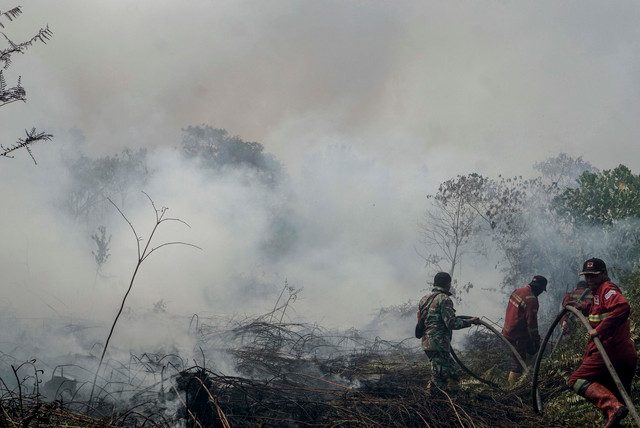 Petugas Manggala Agni Daops Pekanbaru dan personel TNI menarik selang saat berupaya memadamkan kebakaran lahan gambut yang meluas di Desa Rimbo Panjang, Kecamatan Tambang, Kabupaten Kampar, Riau, Rabu (19/8/2026). Foto: Rony Muharrman/ANTARA FOTO