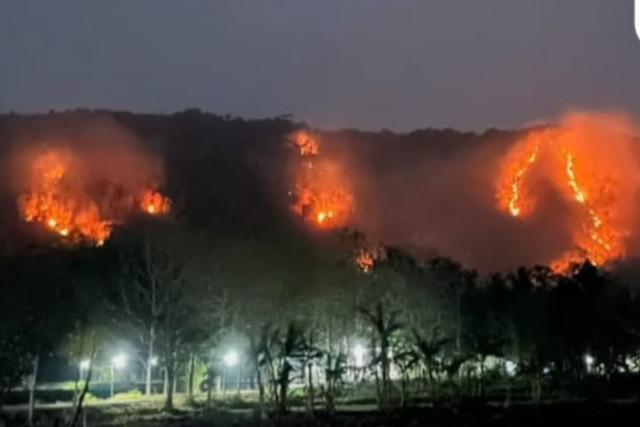 Lahan perbukitan di Seloharjo, Kabupaten Bantul, dan sebagian wilayah Purwosari, Kabupaten Gunungkidul terbakar, Rabu (19/8/2026). Foto: Dok. Damkarmat Bantul