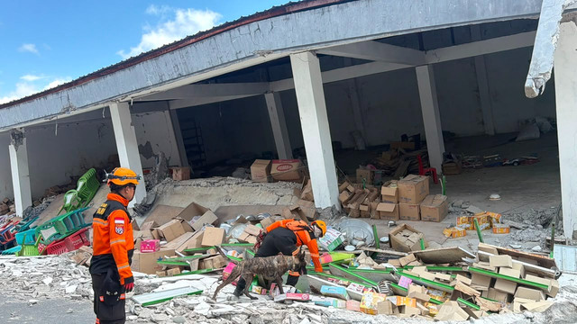 Tim K-9 SAR Polri kerahkan 10 anjing pelacak perkuat operasi kemanusiaan dan pencarian korban pascagempa di wilayah Manggarai serta Manggarai Timur, NTT, Kamis (20/8/2026). Foto: Dok. Polri
