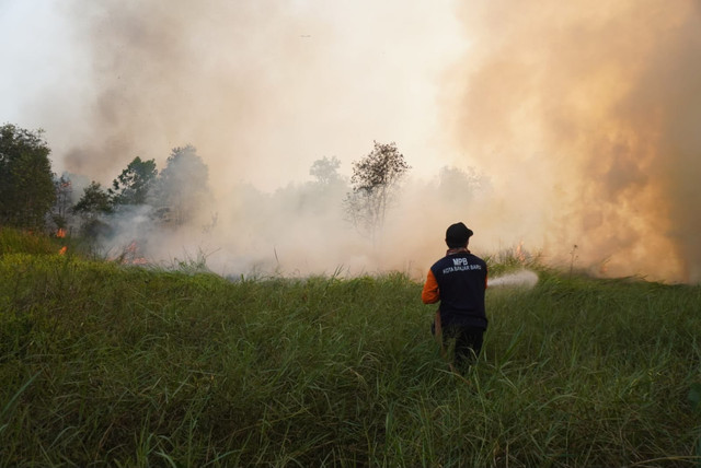 Petugas berusaha memadamkan Kebakaran Hutan dan Lahan (KARHUTLA) kini sasar Kawasan perkebunan di Jalan Caraka Jaya, Kelurahan Landasan Ulin Utara, Kota Banjarbaru, Kalimantan Selatan, Kamis (20/8/2026). Foto: Dok. Istimewa