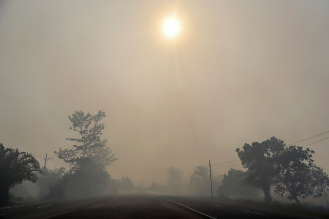 Siluet pepohonan terlihat di jalan yang diselimuti kabut asap di Palangkaraya, Kalimantan Tengah, Kamis (20/8/2026). Foto: REINA / AFP