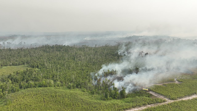 BPBD bersama tim gabungan berusaha memadamkan karhutla di Kabupaten Bulungan, Provinsi Kalimantan Utara, Selasa (18/8). Foto: BPBD Kabupaten Bulungan