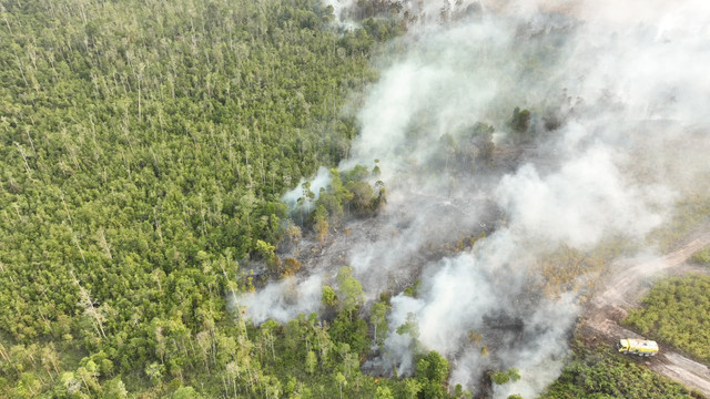 BPBD bersama tim gabungan berusaha memadamkan karhutla di Kabupaten Bulungan, Provinsi Kalimantan Utara, Selasa (18/8). Foto: BPBD Kabupaten Bulungan
