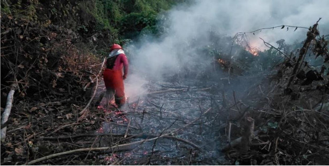 BPBD bersama relawan dan damkar melakukan pemadaman dan pendinginan di lokasi karhutla yang dapat dijangkau pada wilayah Kabupaten Kutai Kartanegara, Provinsi Kalimantan Timur, Rabu (19/8). Foto: BPBD Kabupaten Kutai Kartanegara