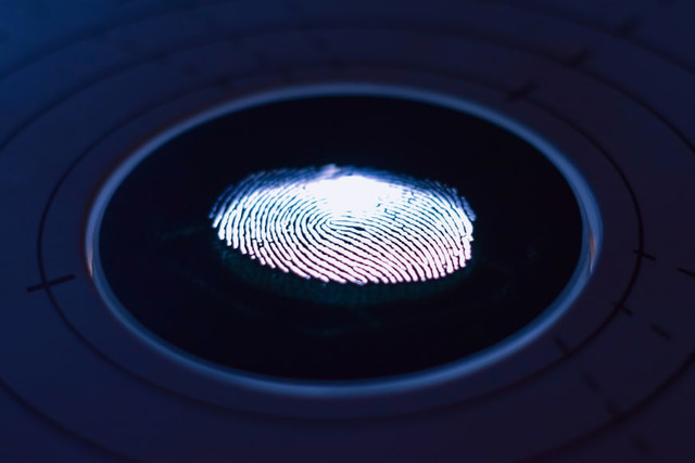 Ilustrasi Mengapa Sidik Jari Menempel di Layar, Foto:Unsplash/George Prentzas