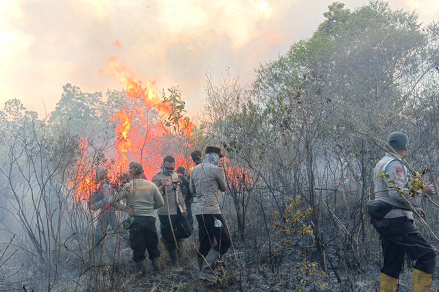Kebakaran di Taman Nasional Way Kambas, Lampung Timur, Jumat (21/8/2026). Foto: Dok. TNWK