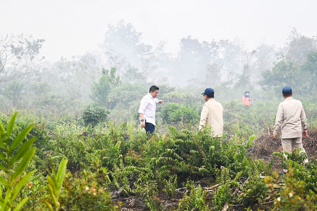 Presiden Prabowo Subianto (tengah) bersama Mensesneg Prasetyo Hadi (kanan) dan Sekretaris Kabinet Teddy Indra Wijaya (kiri) meninjau lokasi karhutla di Kawasan Kubu Raya, Pontianak, Kalimantan Barat, Sabtu (22/8/2026). Foto: Galih Pradipta/ANTARA FOTO