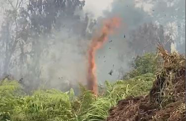 Kebakaran hutan dan lahan (karhutla) di Jalan Keluarga, Desa Rimbo Panjang, Kabupaten Kampar, Riau, mulai mengarah ke Jalan Lintas Barat.  Foto: Dok. Istimewa