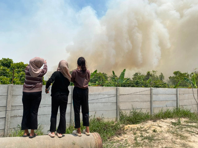 Asap akibat kebakaran hutan dan lahan di Desa Rimbo Panjang, Kampar, Riau. Foto: Dok. kumparan