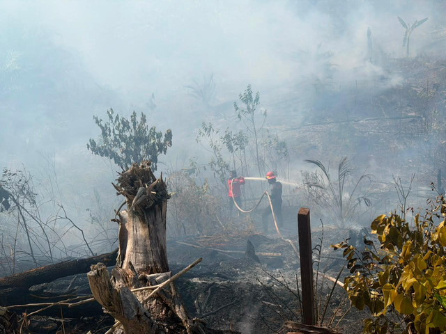 Petugas melakukan pemadaman saat kebakaran hutan di Kabupaten Berau, Kalimantan Timur, Minggu (23/8/2026). Foto: Dok. Istimewa
