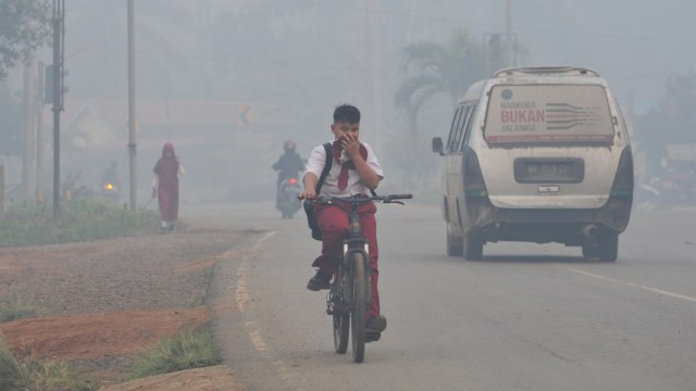 Kabut Asap Selimuti Jambi/kumparan.com
