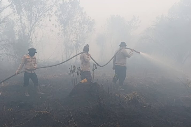 Asap tebal akibat karhutla di Desa Rimbo Panjang, Kecamatan Tambang, Kabupaten Kampar, Riau. Foto: Dok. Istimewa