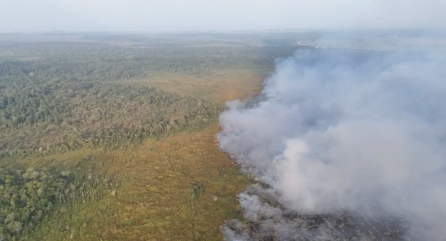Kebakaran masih melanda Taman Nasional Way Kambas (TNWK), Lampung Timur. Foto: Dok. Istimewa