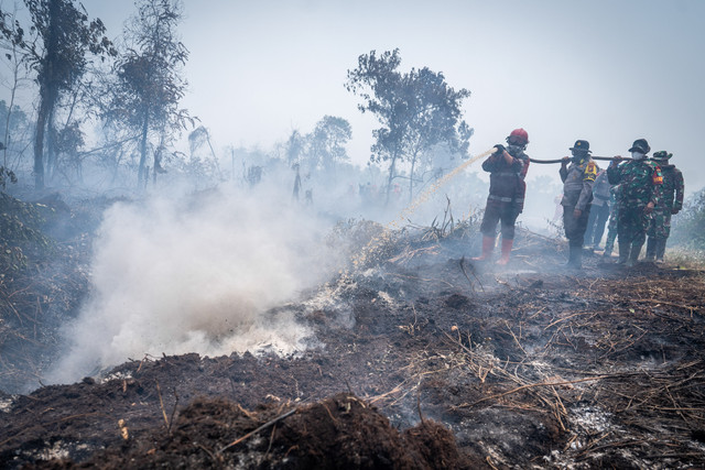 Petugas gabungan menyemprotkan air saat penanganan kebakaran hutan dan lahan (karhutla) di Kabupaten Kampar, Riau, Senin (24/8/2026). Foto: Bayu Pratama S/ANTARA FOTO