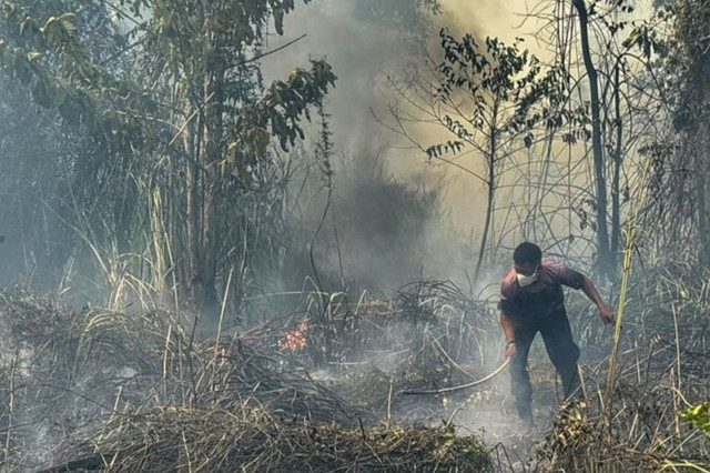 Upaya pemadaman Karhutla di Kabupaten Nabire, Sabtu (22/8/2026). Foto: Ali Nur Ichsan/ANTARA