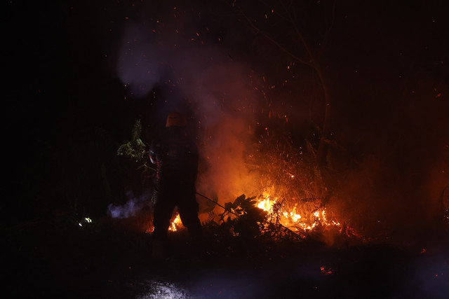 Relawan pemadam kebakaran swasta berusaha mematikan api menggunakan dahan di belakang permukiman warga Surya Kencana, Wonodadi 2, Kecamatan Sungai Raya, Kabupaten Kubu Raya, Kalimantan Barat, Senin (24/8/2026). Foto: Jessica Helena Wuysang/ANTARA FOTO