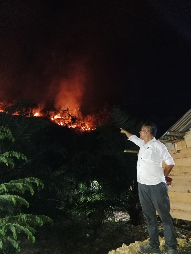 Kebakaran Hutan dan Lahan di Padang Lawas Utara, seluas lima hektare, Senin (24/8). Foto: Dok. BPBD Sumut