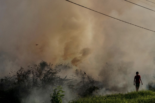 Seorang anak melihat api yang membakar semak belukar ketika terjadi kebakaran hutan dan lahan (karhutla) di Pekanbaru, Riau, Sabtu (15/8/2026). Foto: Rony Muharrman/ANTARA FOTO