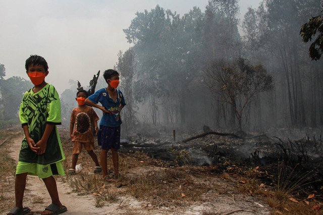 Sejumlah anak melihat kebakaran lahan yang mendekati permukiman warga di Kelurahan Sabaru, Palangka Raya, Kalimantan Tengah, Sabtu (15/8/2026).  Foto: Auliya Rahman/ANTARA FOTO