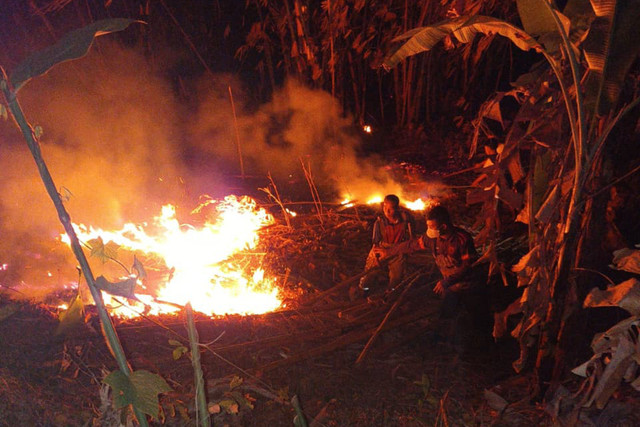 Kebakaran hutan dan lahan melanda Desa Banyuasih, Kecamatan Cigeulis, Kabupaten Pandeglang, Provinsi Banten pada Minggu, (23/8/2026). Foto: Dok. BPBD Kabupaten Pandeglang