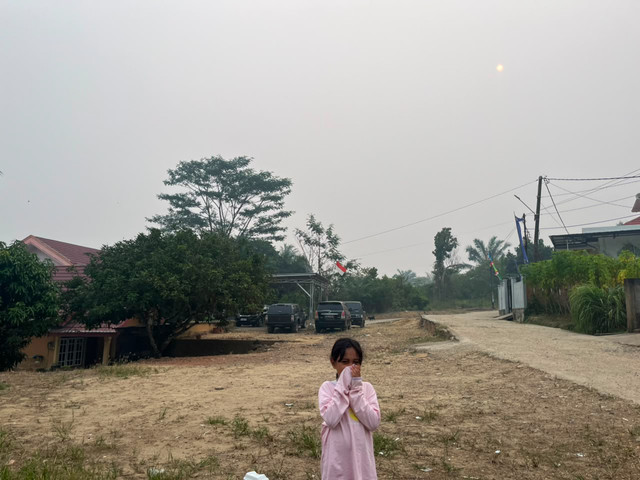 Kabut asap karhutla bikin langit Kota Jambi berubah kelabu. Jarak pandang makin sempit pada Selasa (25/8/2026). Foto: kumparan