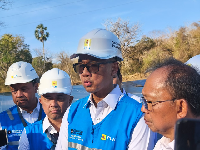 Gubernur Bali, Wayan Koster, dan Dirut PLN, Darmawan Prasodjo, ketika sedang meninjau lokasi groundbreaking pembangunan PLTS di Jembrana, Bali, Selasa (25/8/2026). Foto: kumparan