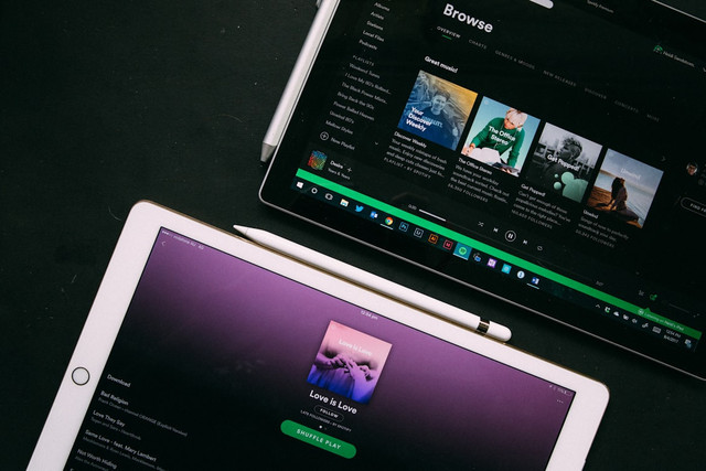 Ilustrasi Makna Lagu Magnolia dari Magnolia Celebration. Foto: Unsplash/ Heidi Fin
