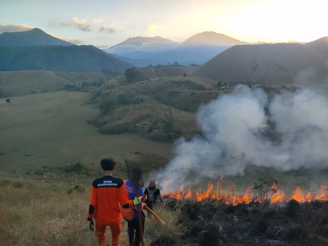 Kawasan wisata alam Kawah Wurung di Kecamatan Ijen, Kabupaten Bondowoso, Jawa Timur, mengalami kebakaran hutan dan lahan (karhutla) pada Rabu (26/8/2026). Foto: Dok. BPBD Bondowoso