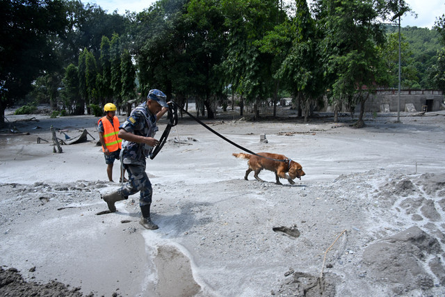 Seorang anggota pasukan keamanan dan anjing pelacaknya mencari korban selamat setelah banjir bandang di Trishuli, distrik Nuwakot, Nepal, pada 27 Agustus 2026. Foto: Prakash Mathema / AFP