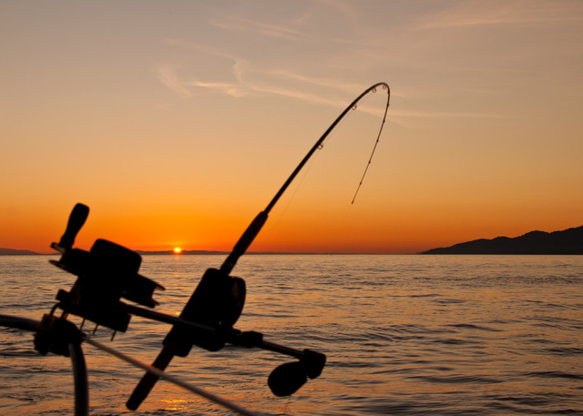 Ilustrasi Kalender mancing September 2026. Foto: Unsplash.com/James Wheeler